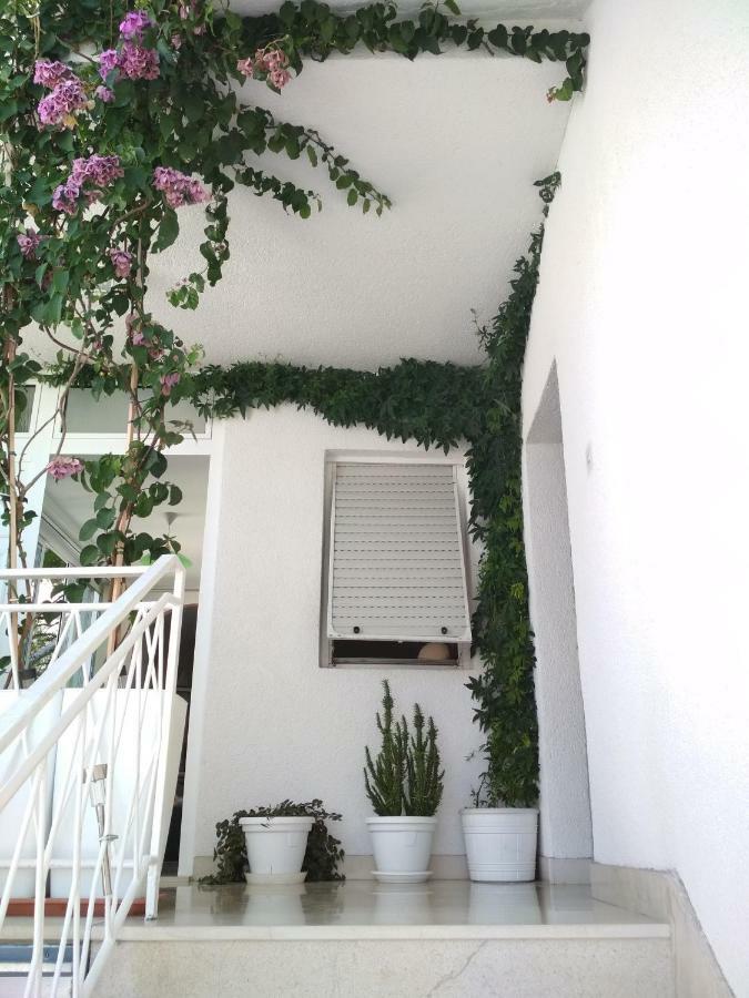 Apartmani Carevic Baška Voda Kültér fotó